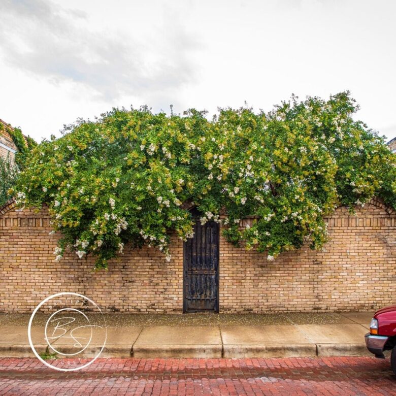 Bartlett Texas, Bartlett Tx, things to do around Bartlett, Visit Taylor Texas, Jennifer Tucker