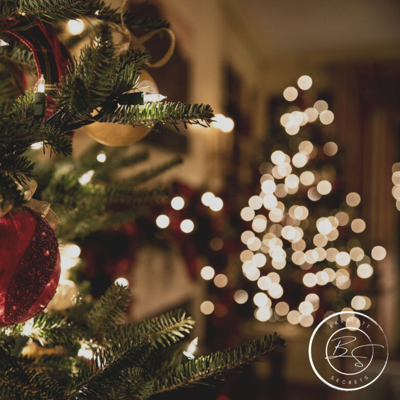 bartlett, bartlett tx, bartlett texas, bartlett jennifer tucker, jennifer tucker, amazing realty, bartlett secrets, things to do in bartlett, holiday bartlett, bartlett secrets walking tour, bartlett ghost tours, bartlett bank, bartlett church