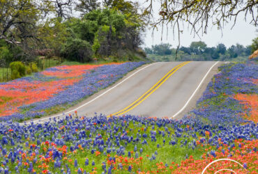 April Showers Bring May Flowers To Our Favorite Texas City Bartlett Secrets Jennifer Tucker