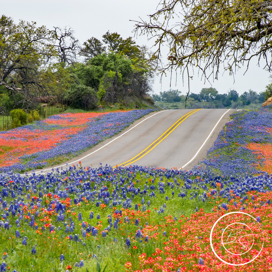 April Showers Bring May Flowers To Our Favorite Texas City Bartlett Secrets Jennifer Tucker